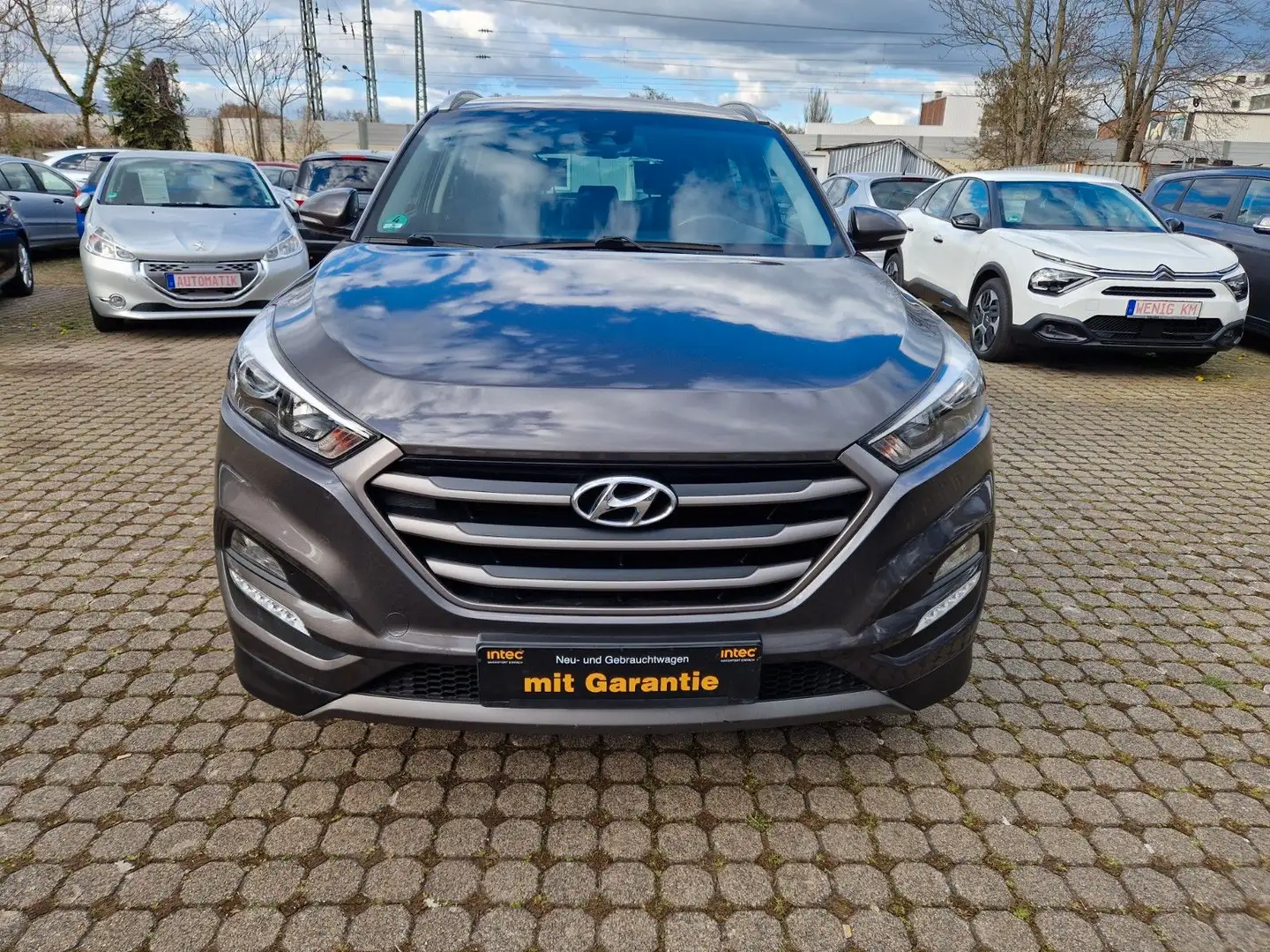 Hyundai TUCSON blue Intro Edition Schwarz - 2