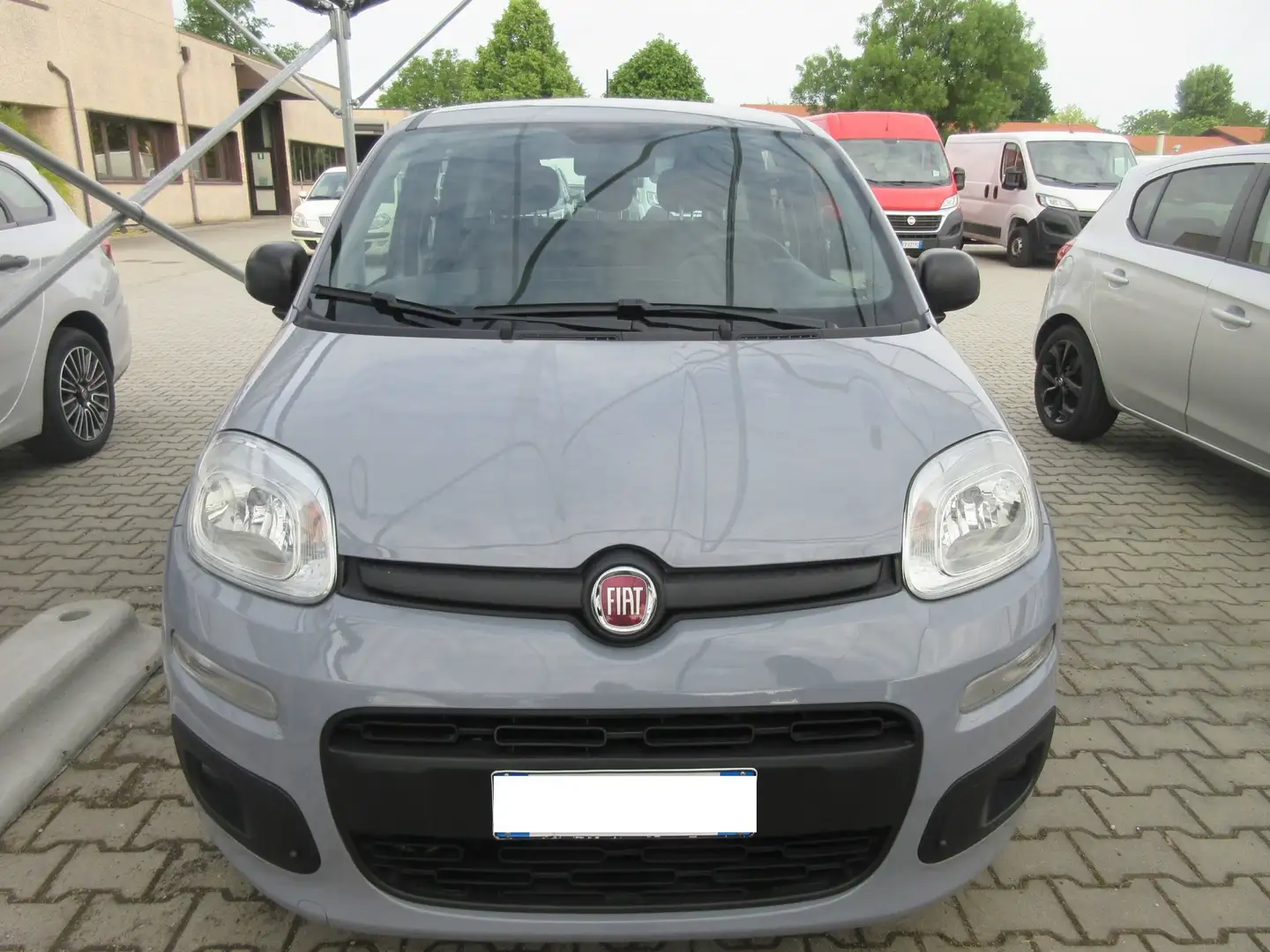 Fiat Panda 1.0 HYBRID 5 PORTE Gris - 2