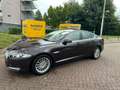 Jaguar XF 2.2D Automaat, stoel verwarming/verkoelen, pano Rood - thumbnail 5