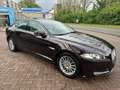 Jaguar XF 2.2D Automaat, stoel verwarming/verkoelen, pano Rood - thumbnail 1