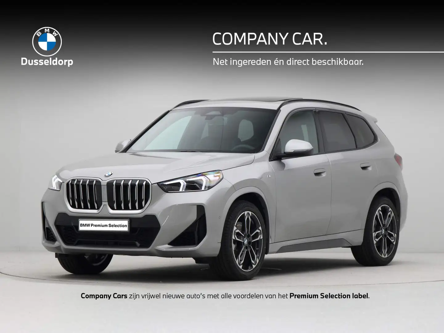 BMW X1 xDrive23i Grigio - 1