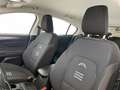 Ford Focus Focus 1.5 EcoBlue 115 CV automatico 5p. Active Gris - thumbnail 14