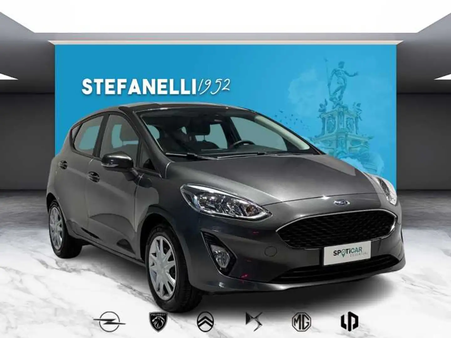 Ford Fiesta VII - Fiesta 5p 1.1 Plus Gpl 75cv Grigio - 1
