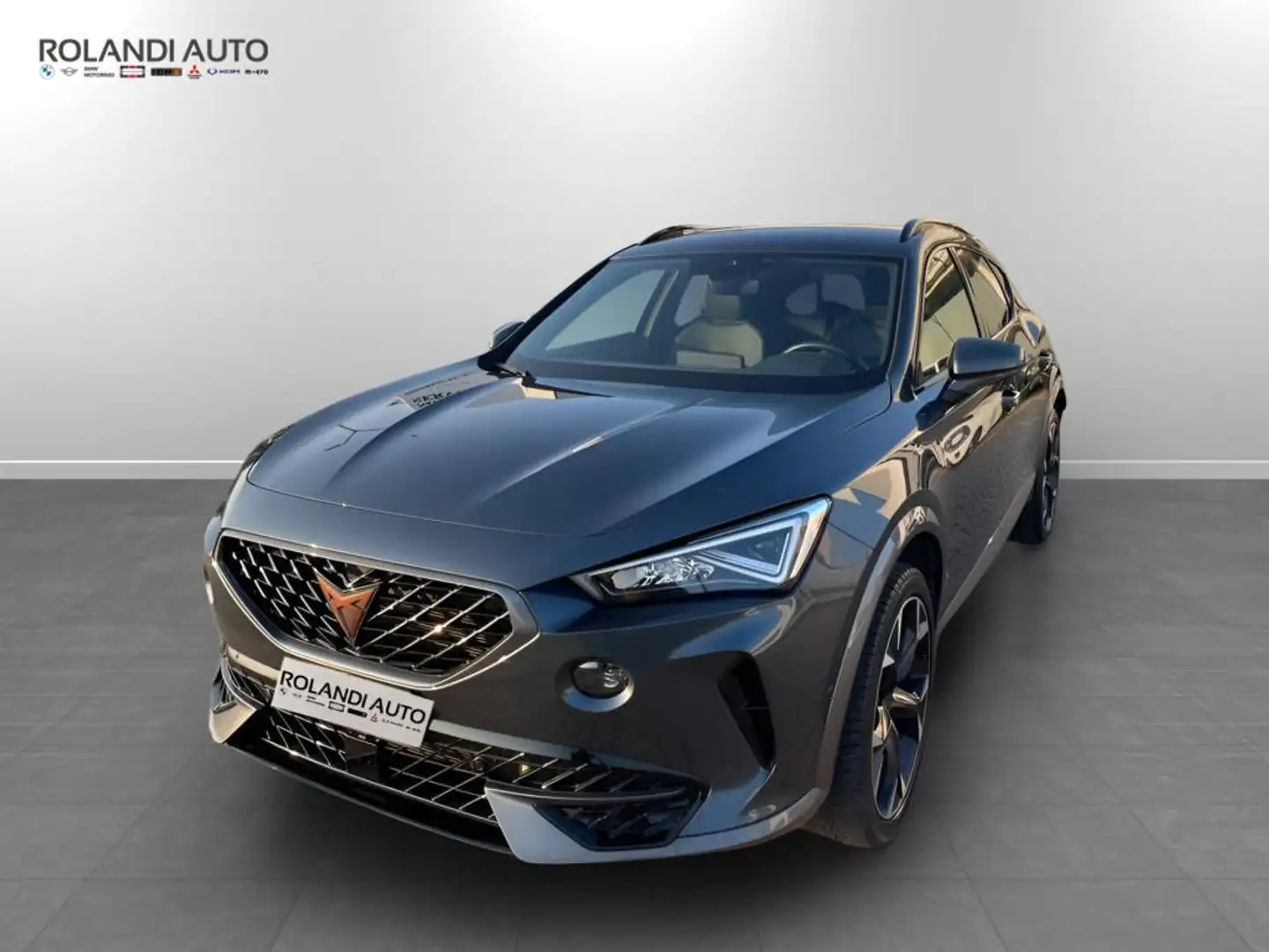 CUPRA Formentor 2.0 tdi 4drive dsg Grigio - 1