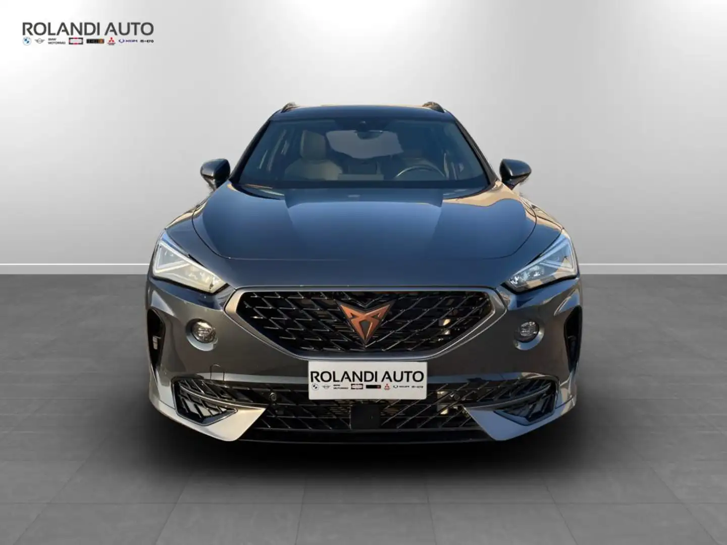 CUPRA Formentor 2.0 tdi 4drive dsg Grigio - 2