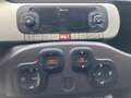 Fiat Panda 1.3 mjt 16v Cross 4x4 s MULTIFUNZIONE LED LEGA Grey - thumbnail 10
