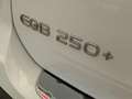 Mercedes-Benz EQB 250 250+ - thumbnail 19