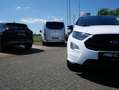 Ford EcoSport ST-Line Diesel /SH/ AHK/NAVI 8-fach ber Blanc - thumbnail 25