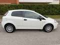 Fiat Punto Evo 3p 1.3 mjt Active s VAN Bílá - thumbnail 2