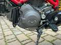 Ducati Hypermotard 796 Sport Rouge - thumbnail 8