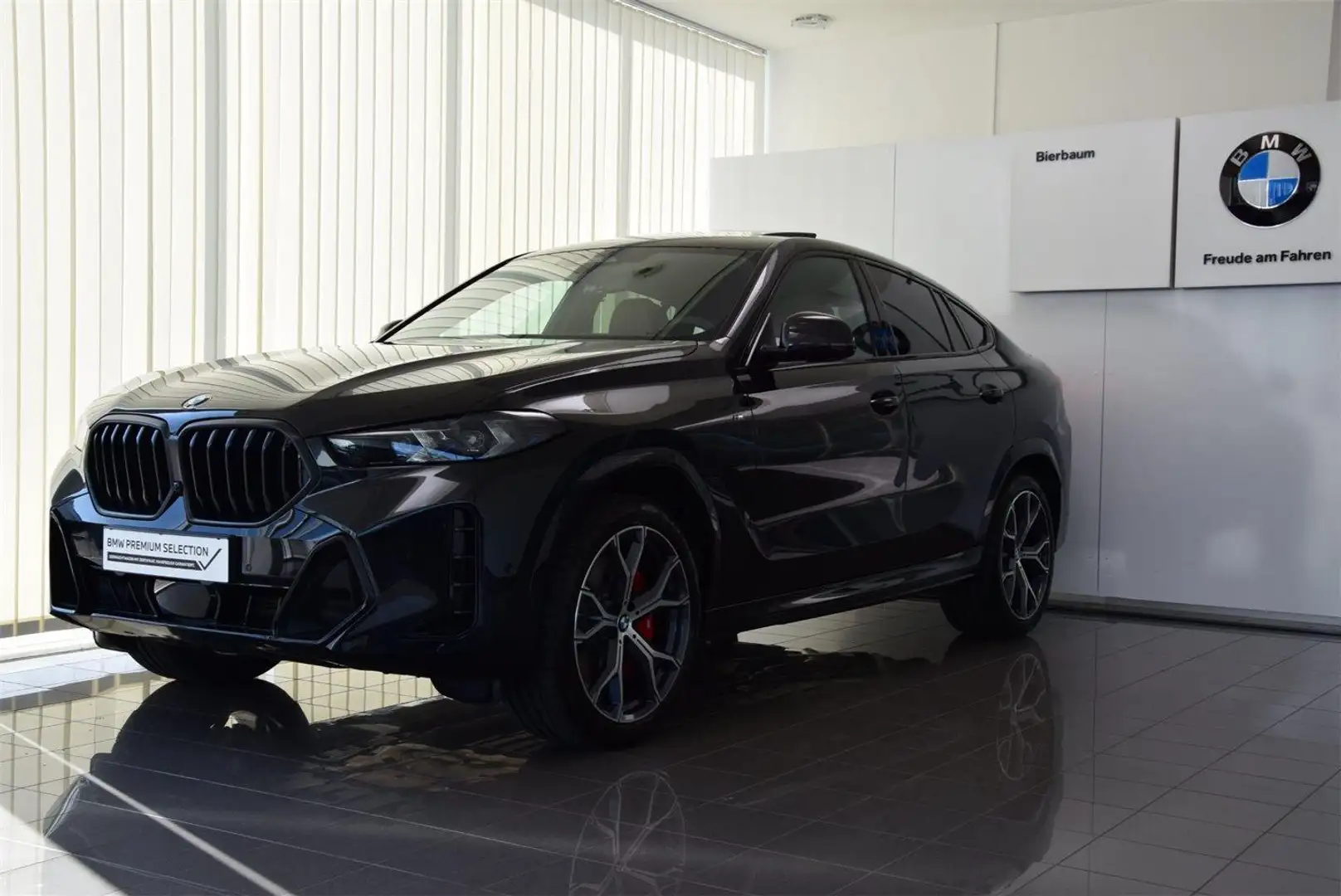 BMW X6 xDrive30d Noir - 2