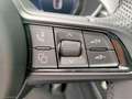 Alfa Romeo Stelvio 2.2 T.d. 160CV AT8 RWD Sprint Grau - thumbnail 17