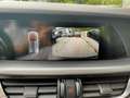 Alfa Romeo Stelvio 2.2 T.d. 160CV AT8 RWD Sprint Grau - thumbnail 19