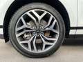 Land Rover Range Rover Evoque RR Evoque D200 R-DYNAMIC SE AWD Automatik ACC Biały - thumbnail 9