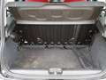 Fiat Panda 1.2 Lounge 69 CV Schwarz - thumbnail 9