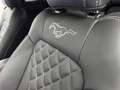 Ford Mustang 5.0 V8 GT Automa/Unfallfrei!/Android/19" Noir - thumbnail 21