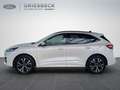 Ford Kuga ST-Line PHEV ACC*AHK*LED*Navi*HUD*Pano* Weiß - thumbnail 2