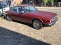 Jaguar XJ6 Rot - thumbnail 1