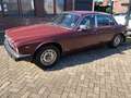 Jaguar XJ6 Rot - thumbnail 2