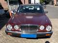 Jaguar XJ6 Rot - thumbnail 8