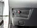 Toyota Yaris 1.5 Hybrid Dynamic Apple carplay | Camera | Adapti Wit - thumbnail 32