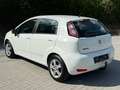 Fiat Punto 1.3 JTD Weiß - thumbnail 5