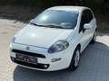 Fiat Punto 1.3 JTD Weiß - thumbnail 2