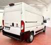 Fiat Ducato 2.3 MTJ 160CV E6D H2L2 PORTATA1450KG Weiß - thumbnail 8