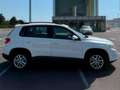 Volkswagen Tiguan 2.0 TDI Front Drive 140 Advance BM Tech Blanco - thumbnail 6