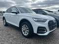 Audi Q5 40 TDI quattro, NP: 69.000 € Blanc - thumbnail 2