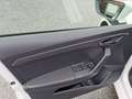 SEAT Ibiza Weiß - thumbnail 6