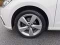 SEAT Ibiza Weiß - thumbnail 14