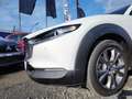 Mazda CX-30 Selection 2WD 2.0 SKYACTIV-G M Hybrid AHK Blanc - thumbnail 5