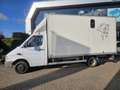 Mercedes-Benz Sprinter 413 CDI 2.2 402 Paardenwagen / Bakwagen Weiß - thumbnail 19