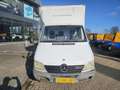 Mercedes-Benz Sprinter 413 CDI 2.2 402 Paardenwagen / Bakwagen Weiß - thumbnail 18