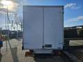 Mercedes-Benz Sprinter 413 CDI 2.2 402 Paardenwagen / Bakwagen Weiß - thumbnail 20