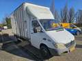 Mercedes-Benz Sprinter 413 CDI 2.2 402 Paardenwagen / Bakwagen Weiß - thumbnail 3