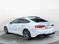 Audi S5 3.0 TDI q. Tiptr. S-Line, Matrix-LE Blanc - thumbnail 4