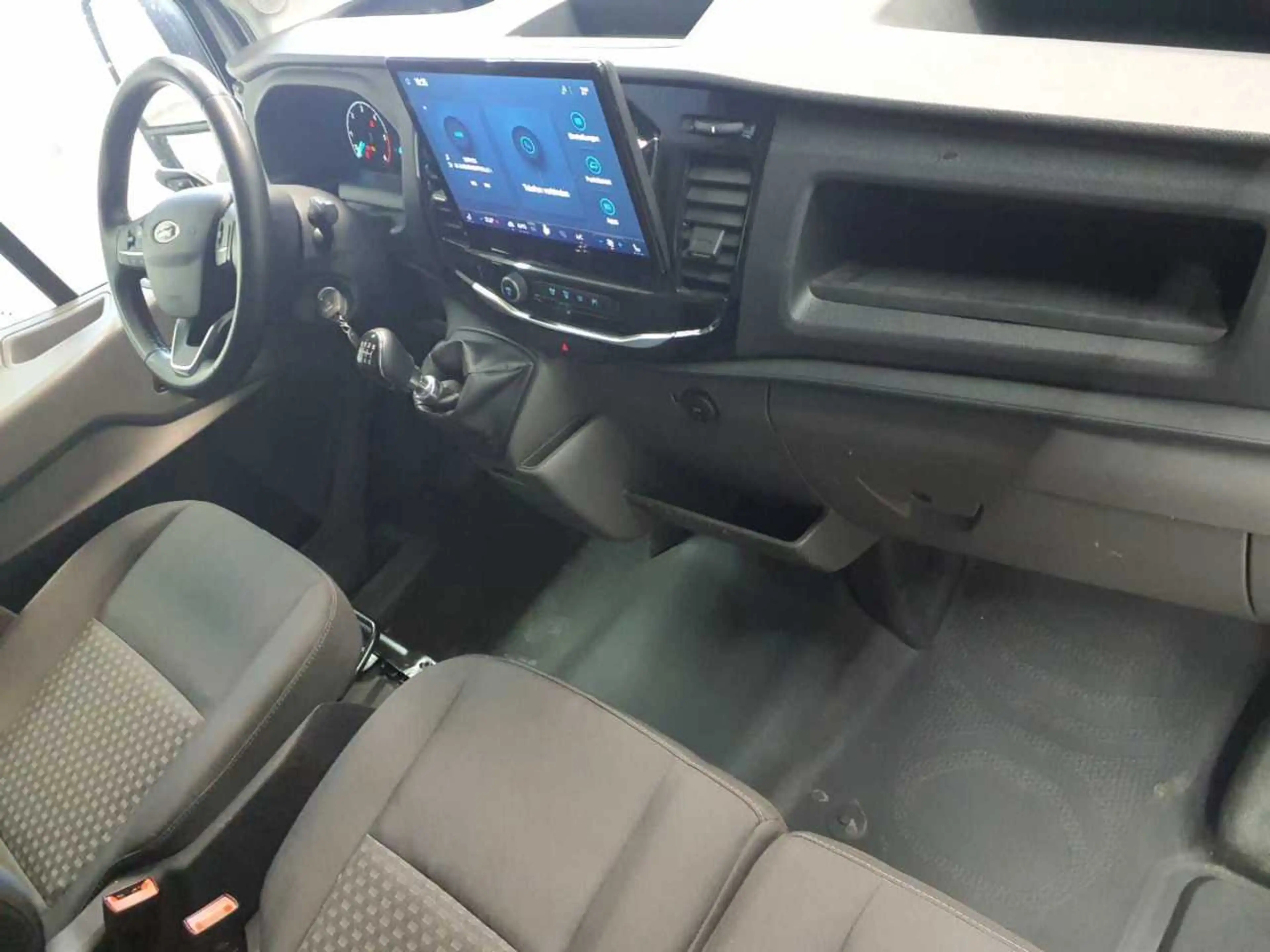 Ford Transit Transit 350 L2H2 Ladungssicherungs-P — photo 9