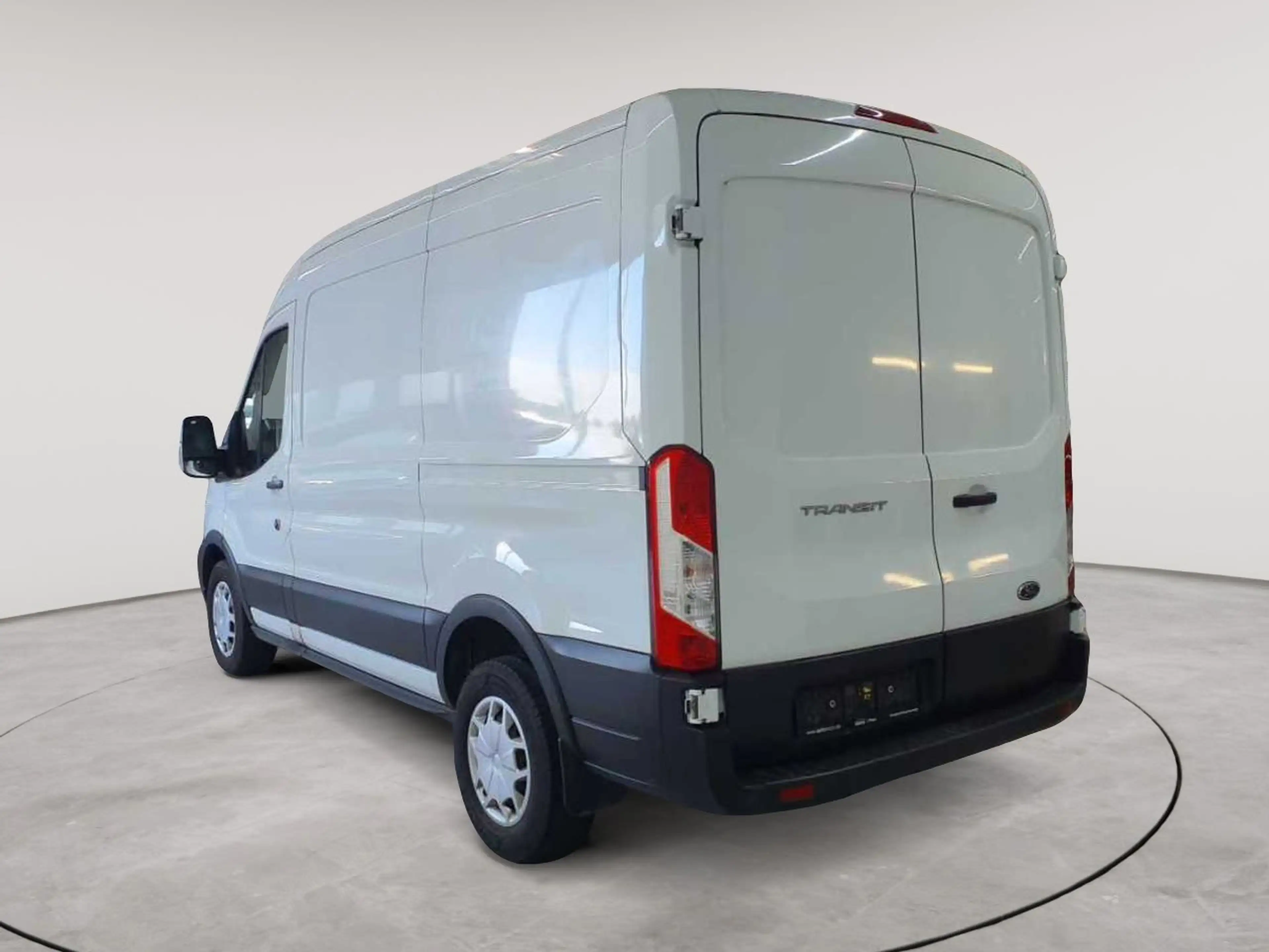 Ford Transit Transit 350 L2H2 Ladungssicherungs-P — photo 5