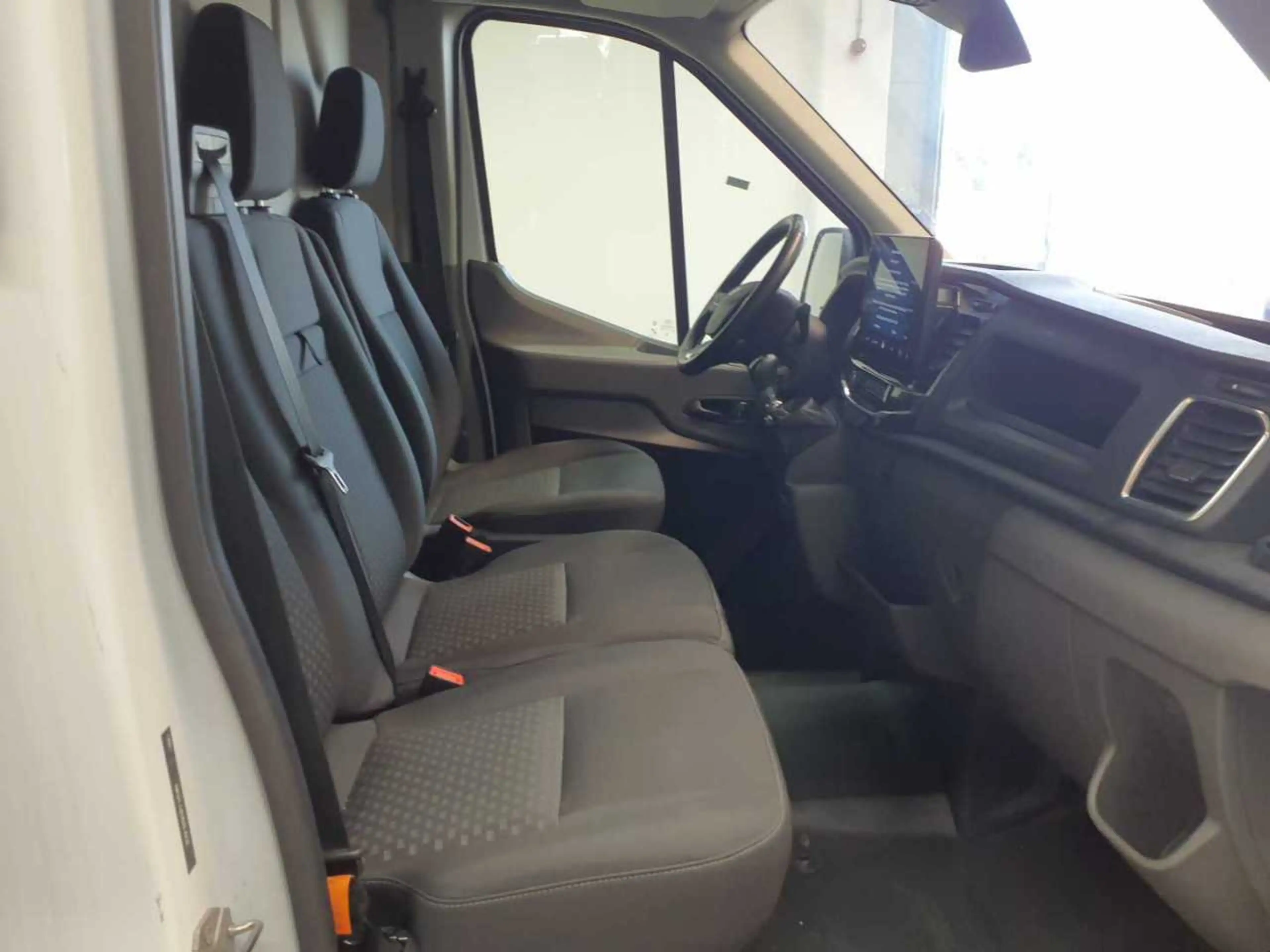 Ford Transit Transit 350 L2H2 Ladungssicherungs-P — photo 8