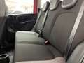 Fiat Panda City Cross 1.0 Gse 51kw (70CV) Rojo - thumbnail 7