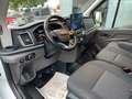 Ford Transit 350 L3 Limited MIXTO STANDHEIZUNG Weiß - thumbnail 11