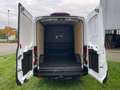 Ford Transit 350 L3 Limited MIXTO STANDHEIZUNG Weiß - thumbnail 7