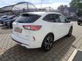 Ford Kuga 2,5 Duratec PHEV ST-Line X Aut. Weiß - thumbnail 6