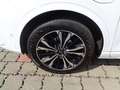 Ford Kuga 2,5 Duratec PHEV ST-Line X Aut. Weiß - thumbnail 11