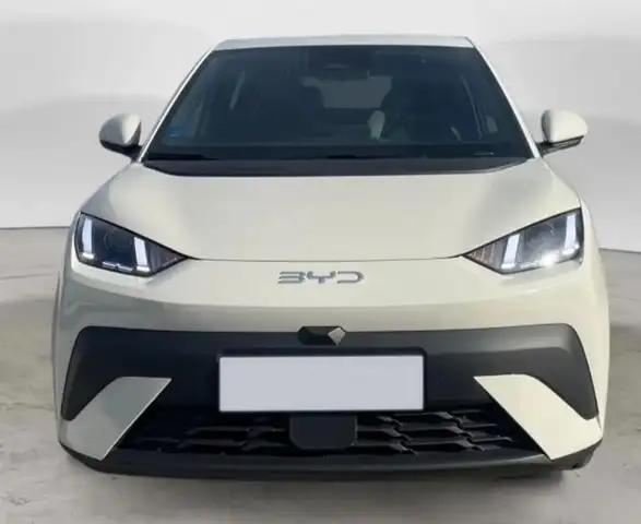 BYD Dolphin Surf SURF ACTIVE 88Ccv Batteria 30kwh