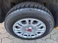 Fiat Panda 0.9 TwinAir Turbo Natural Power 80CV*EURO6 Oranje - thumbnail 12