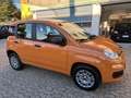 Fiat Panda 0.9 TwinAir Turbo Natural Power 80CV*EURO6 Oranje - thumbnail 3