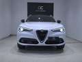 Alfa Romeo Stelvio 2.2 Executive Q4 210 Aut. Blanco - thumbnail 2